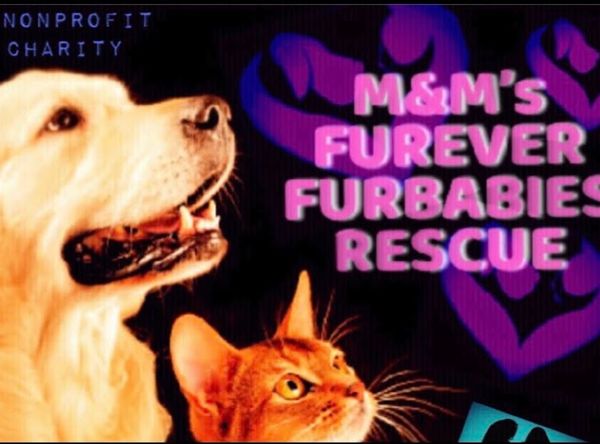 M&M's Fur-Ever Furbabies