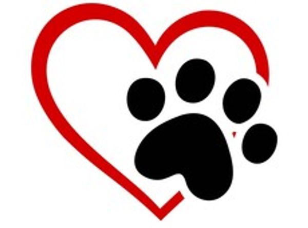 The Paw and Feather Plan Inc.