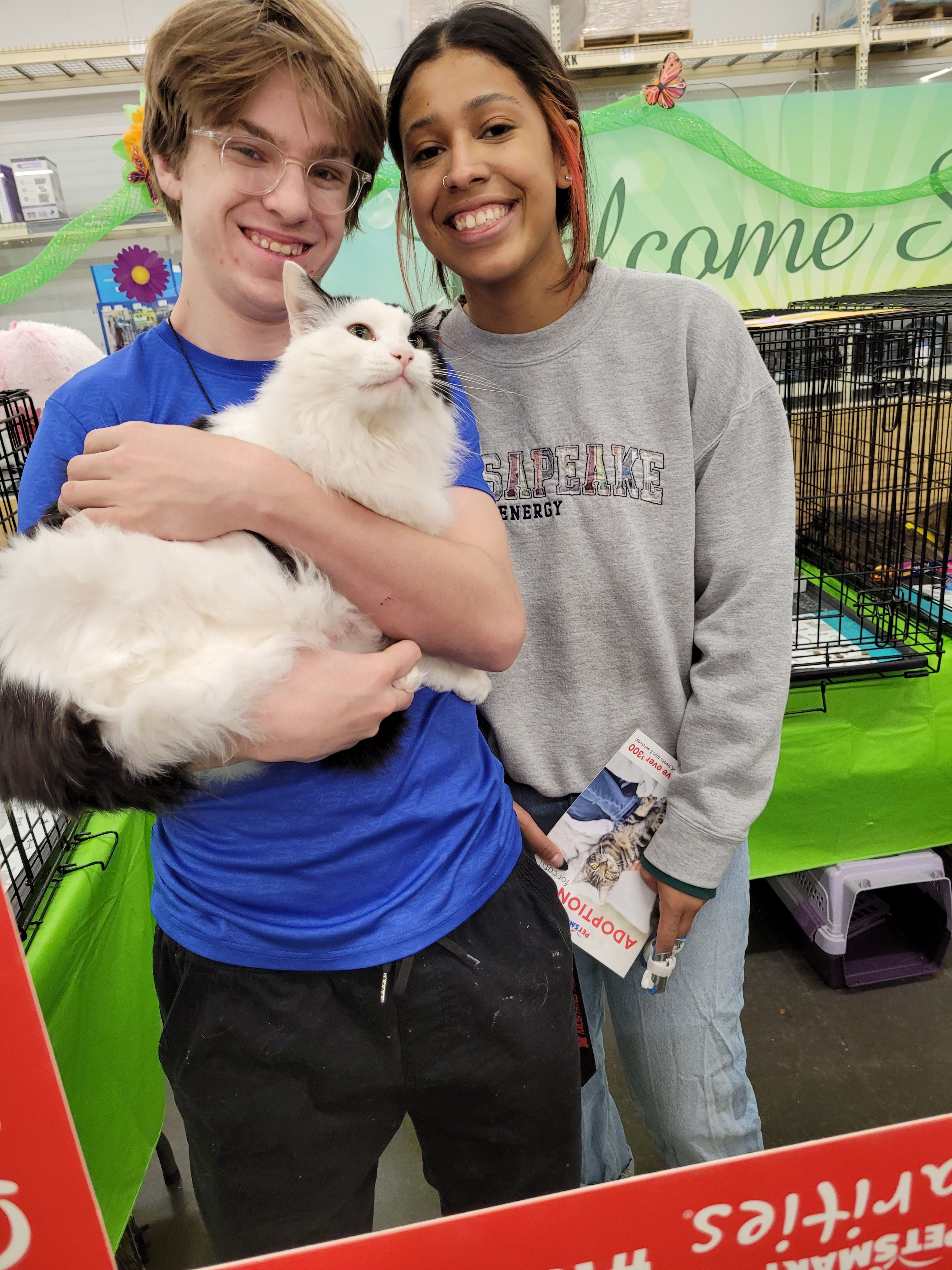 Save4Paws Rescue LLC