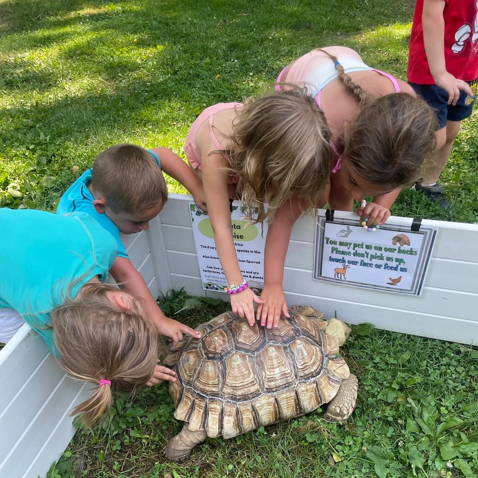 Two by Two Animal Haven