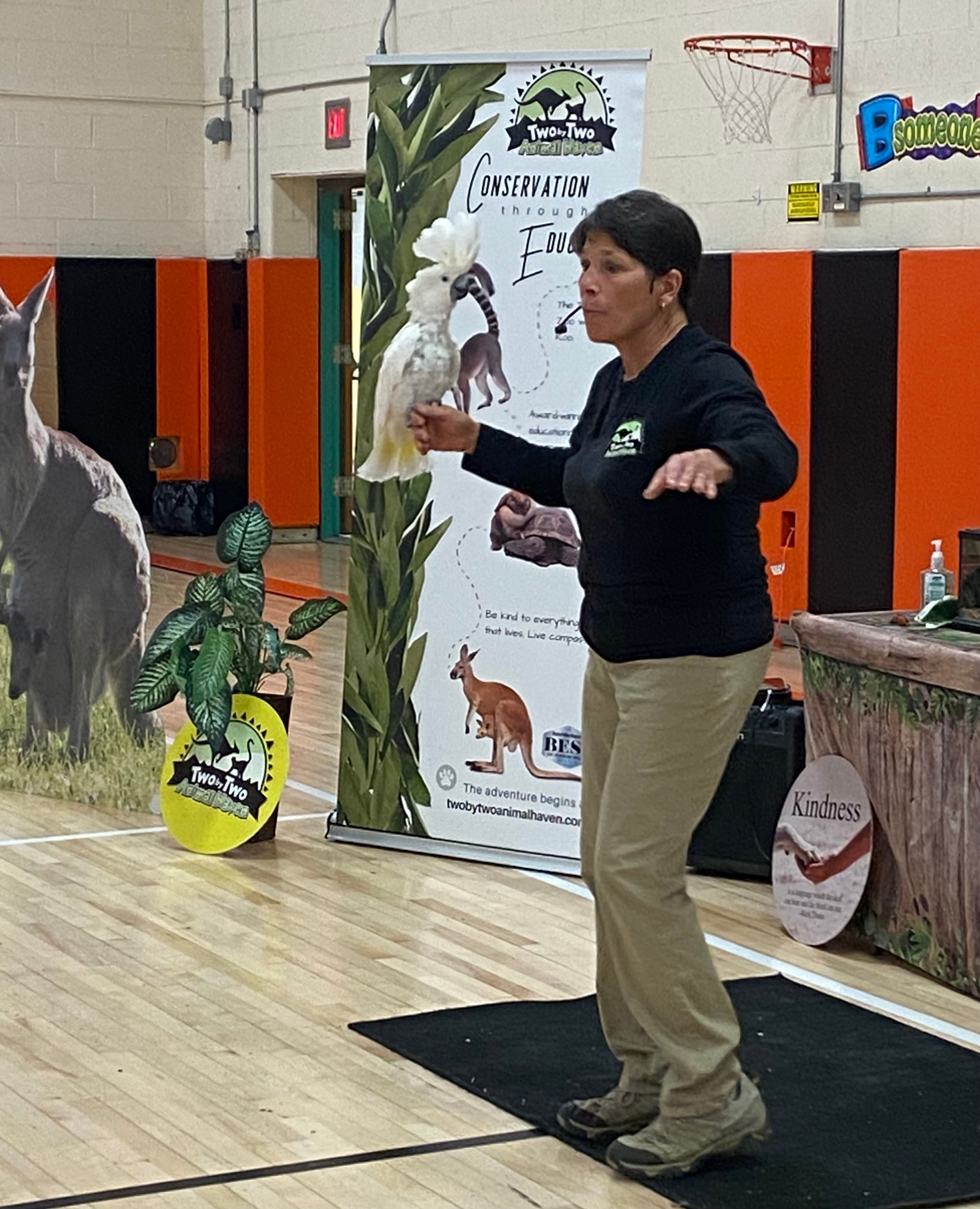 Two by Two Animal Haven