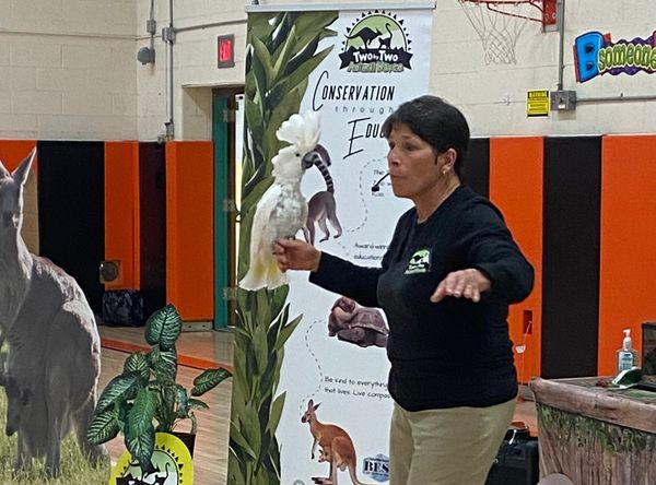 Two by Two Animal Haven