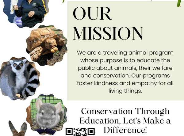 Two by Two Animal Haven