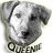 The Queenie Foundation Inc