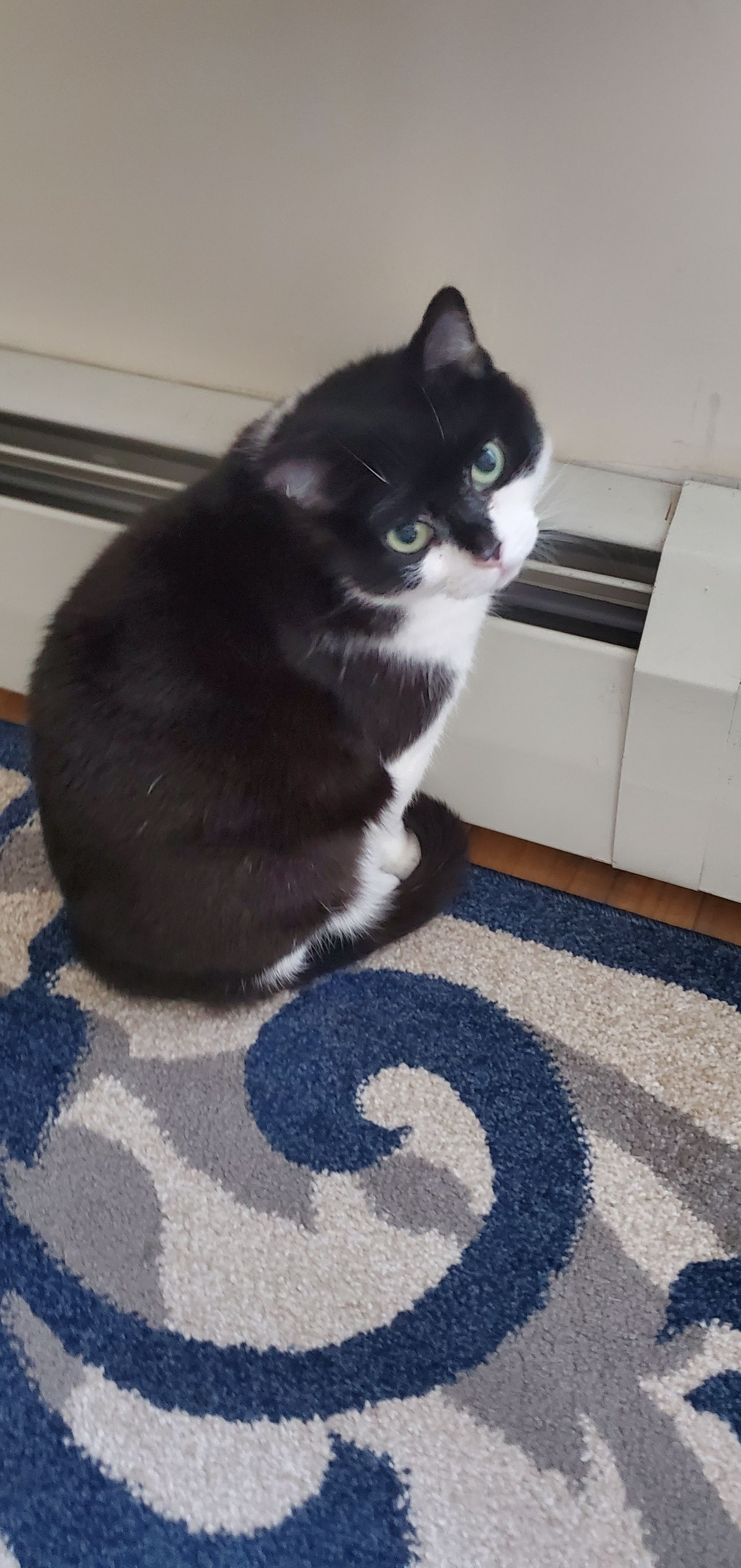 The Queenie Foundation Inc