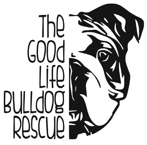 The Good Life Bulldog Rescue