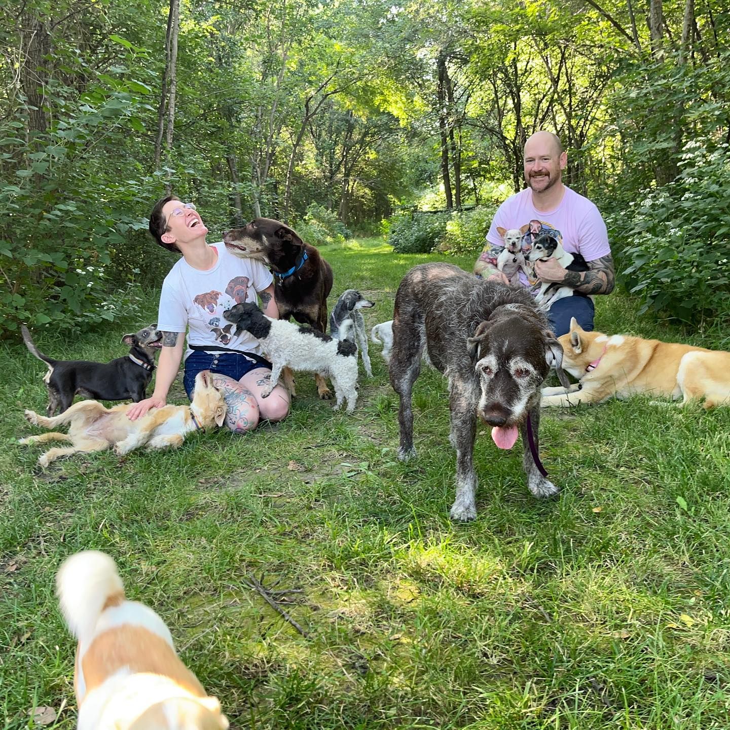 The Farm: Senior Dog Sanctuary