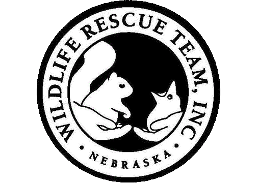 Wildlife Rescue Team, Inc.