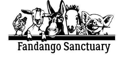 Fandango Sanctuary