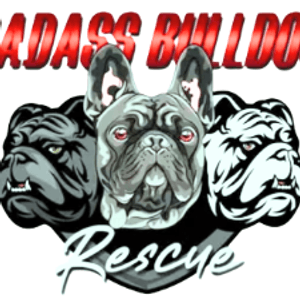 Badass Bulldog Rescue Logo