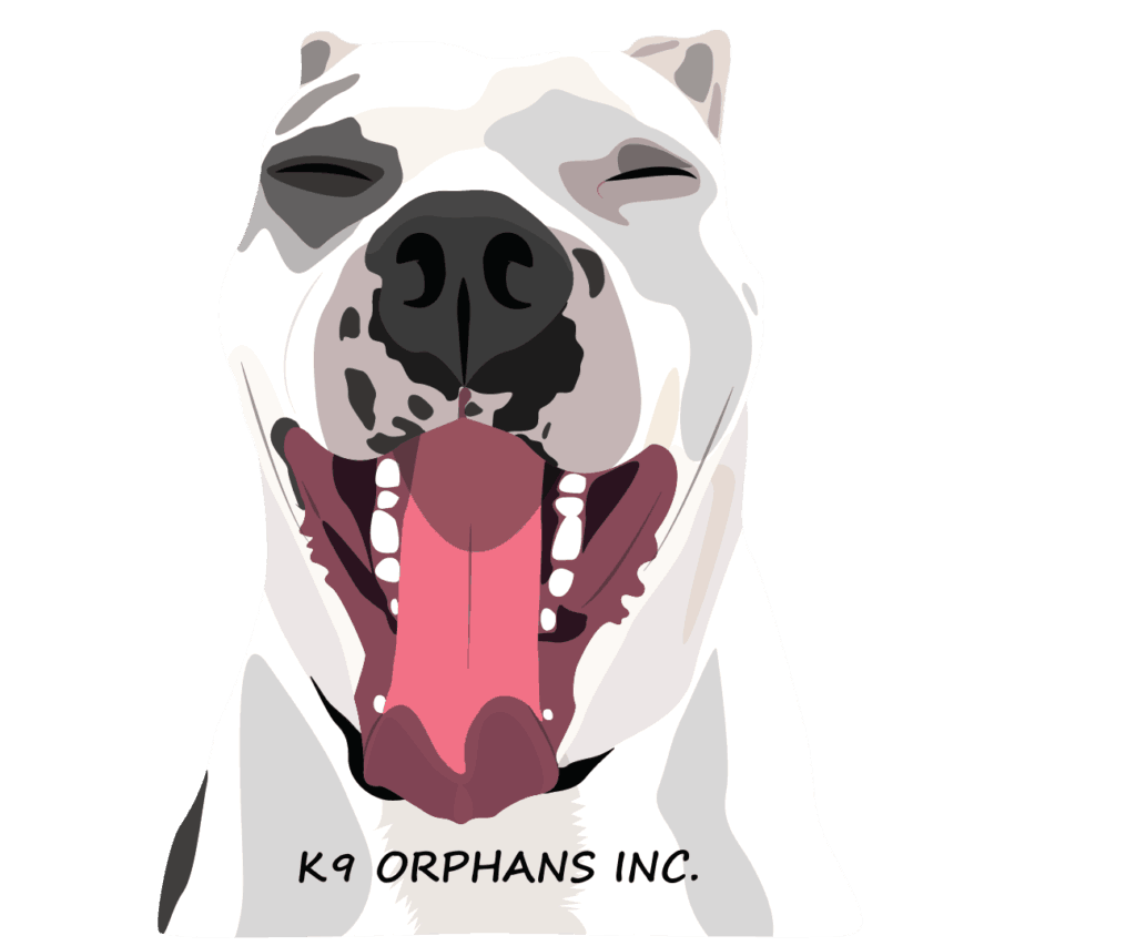 K9 Orphans Inc