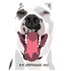 K9 Orphans Inc