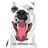 K9 Orphans Inc