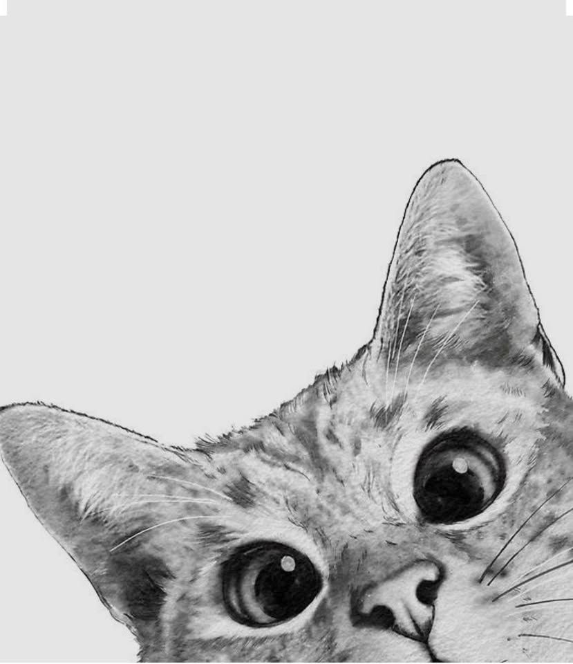 Kats Kradle Feral Rehabilitation Inc