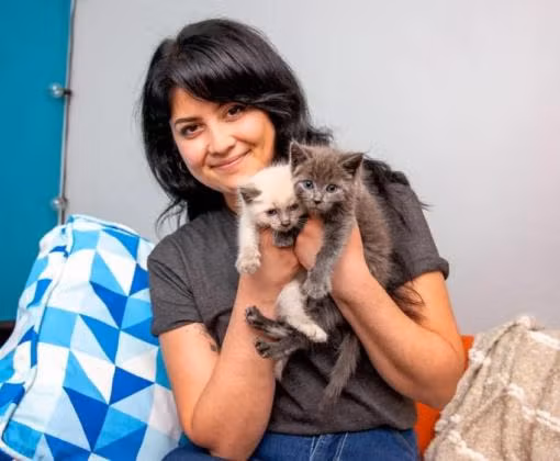 The Coalition for Feral Cats of Lehigh Valley