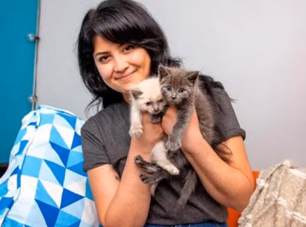 The Coalition for Feral Cats of Lehigh Valley