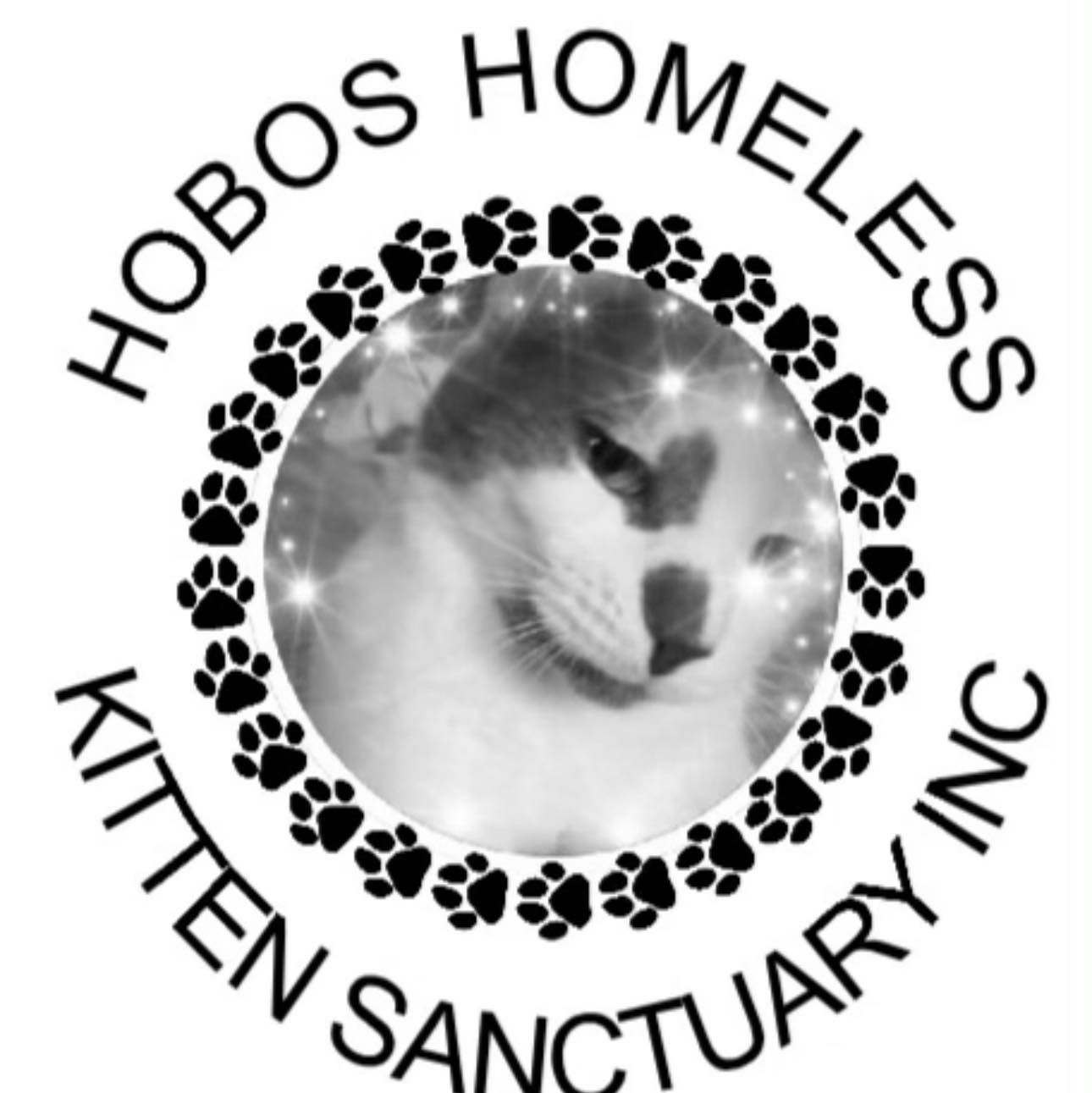 Hobos Homeless Kitten Sanctuary