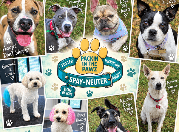 Packin in the Pawz Dog Rescue
