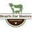 Hearts For Hooves Sanctuary
