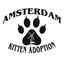 Amsterdam Kitten Adoption Inc