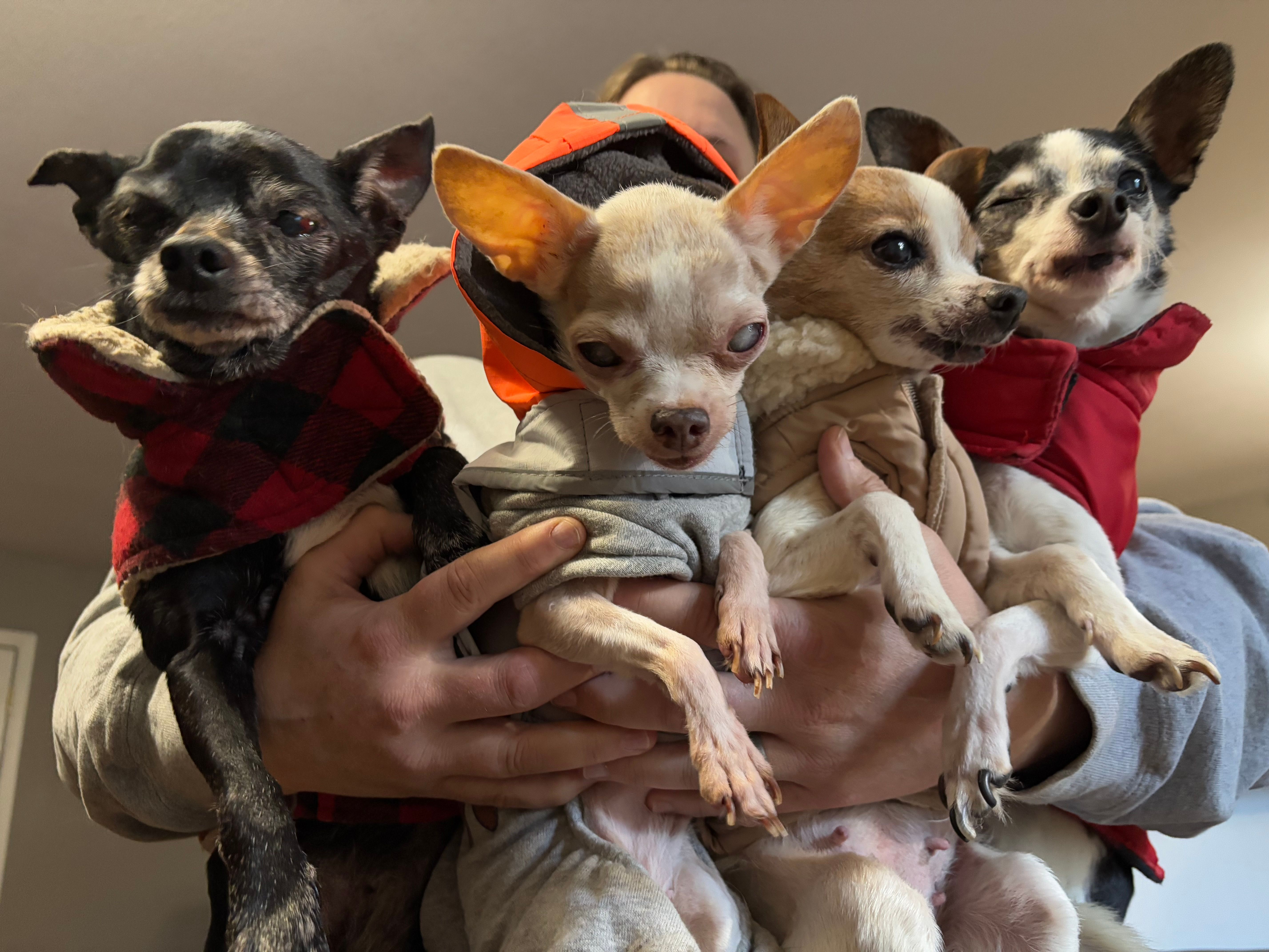 Smoky Mountains Senior Rescue