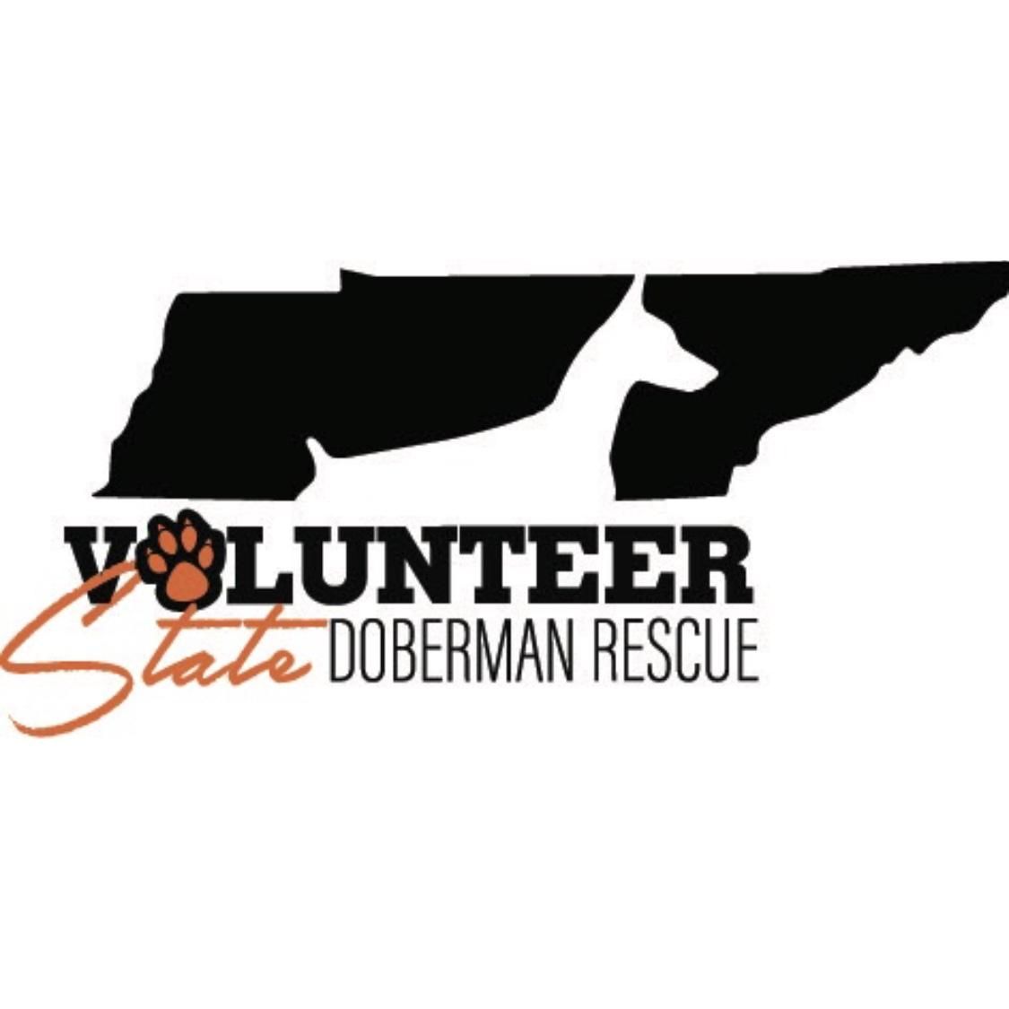 Volunteer Doberman Rescue