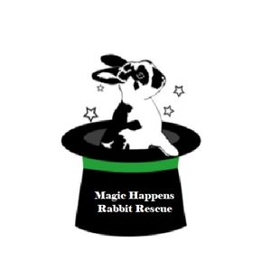 Magic Happens Rabbit Rescue