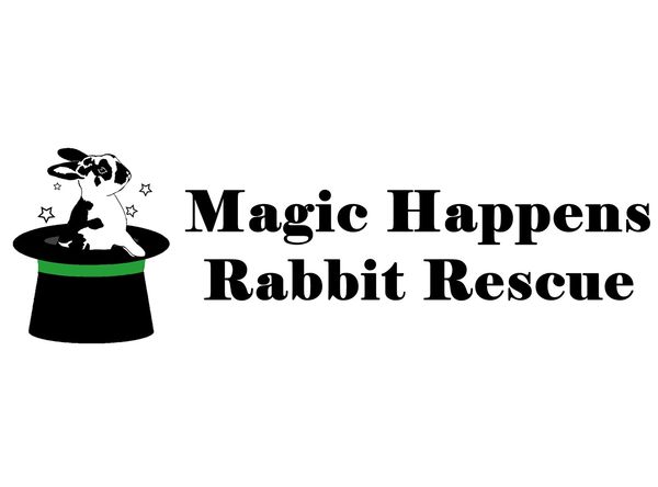 Magic Happens Rabbit Rescue