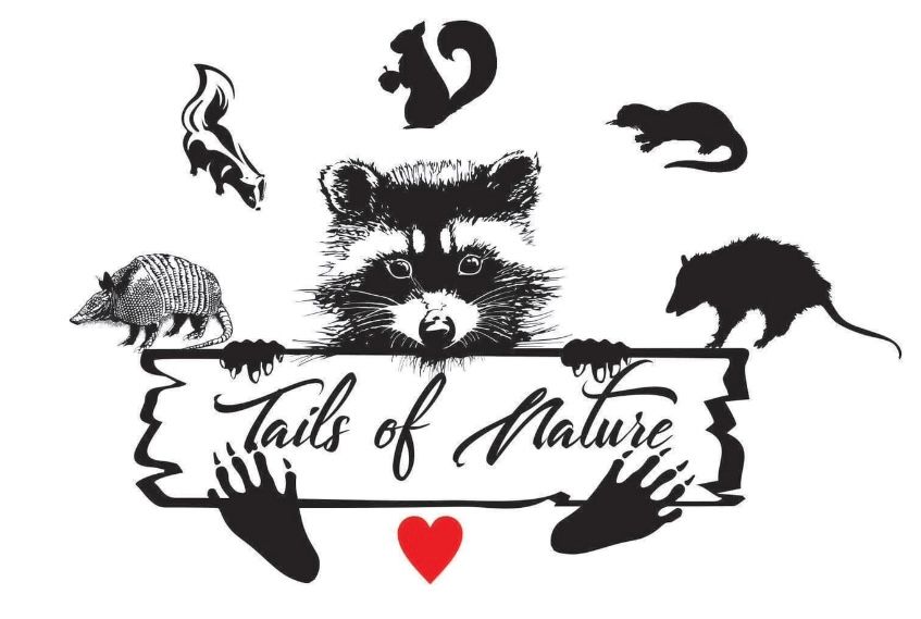 Tails of Nature
