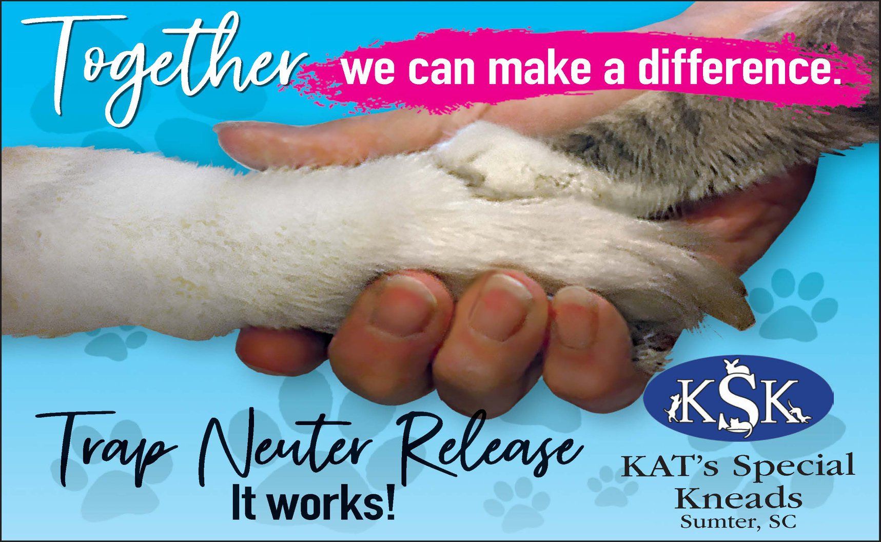 KAT's Special Kneads