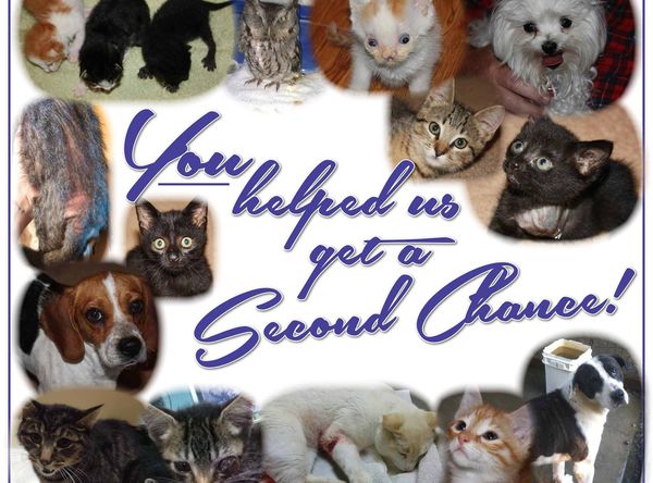 KAT's Special Kneads