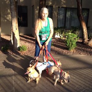 French Bulldog Rescue of Georgia - SE Inc Logo