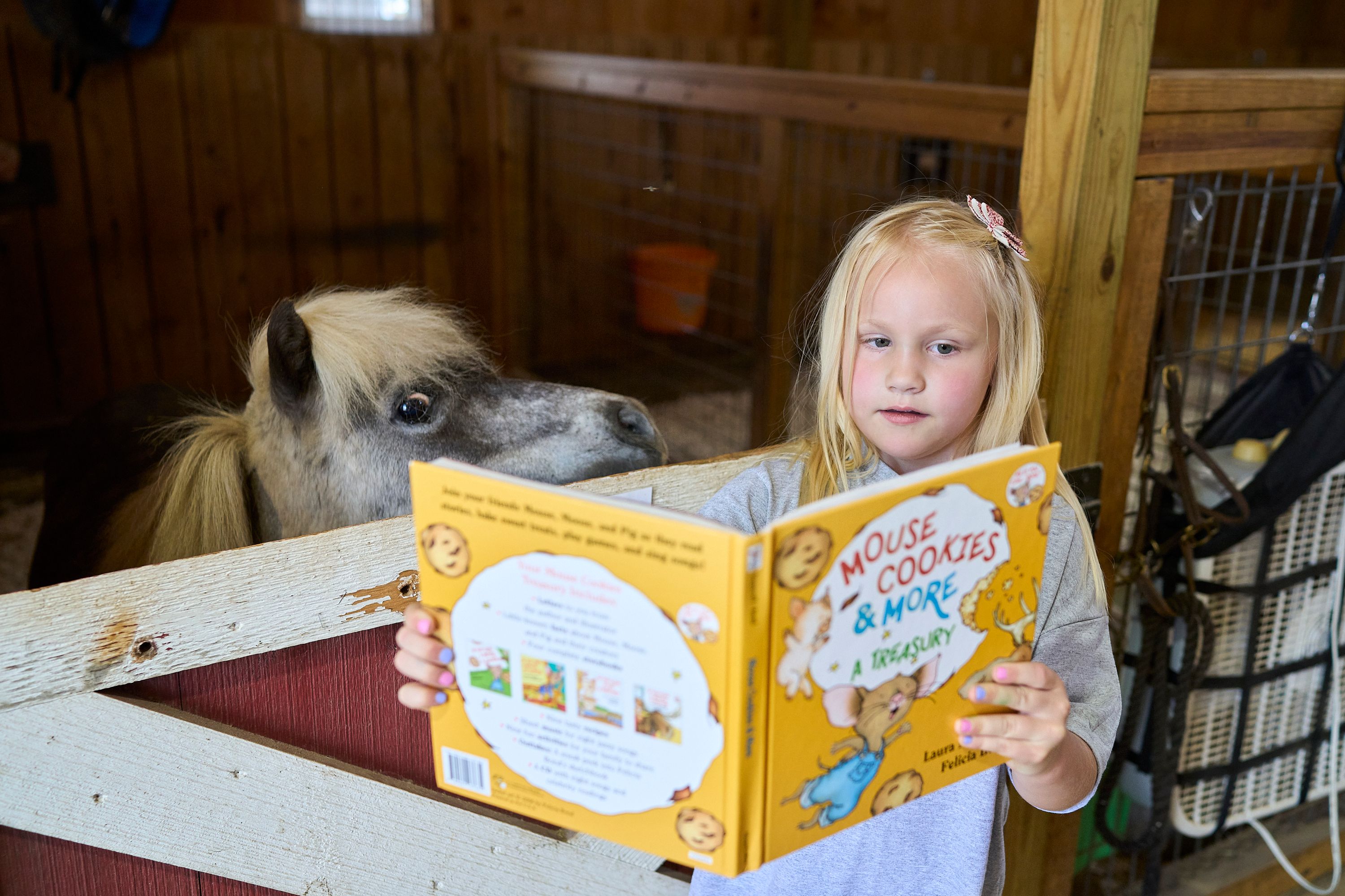 Red Bell Run Foundation Inc