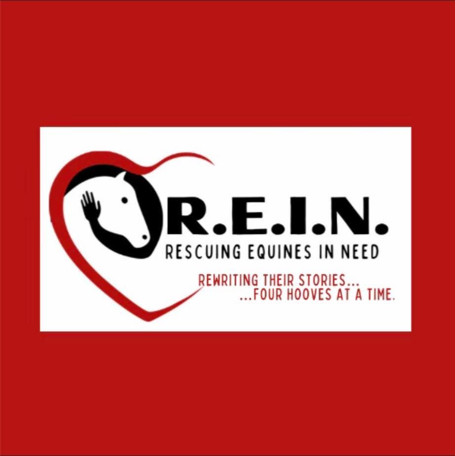 Rescuing Equines in Need