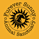 Furever Sunny