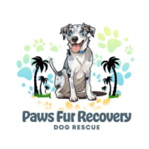 Paws Fur Recovery Dog Rescue Logo