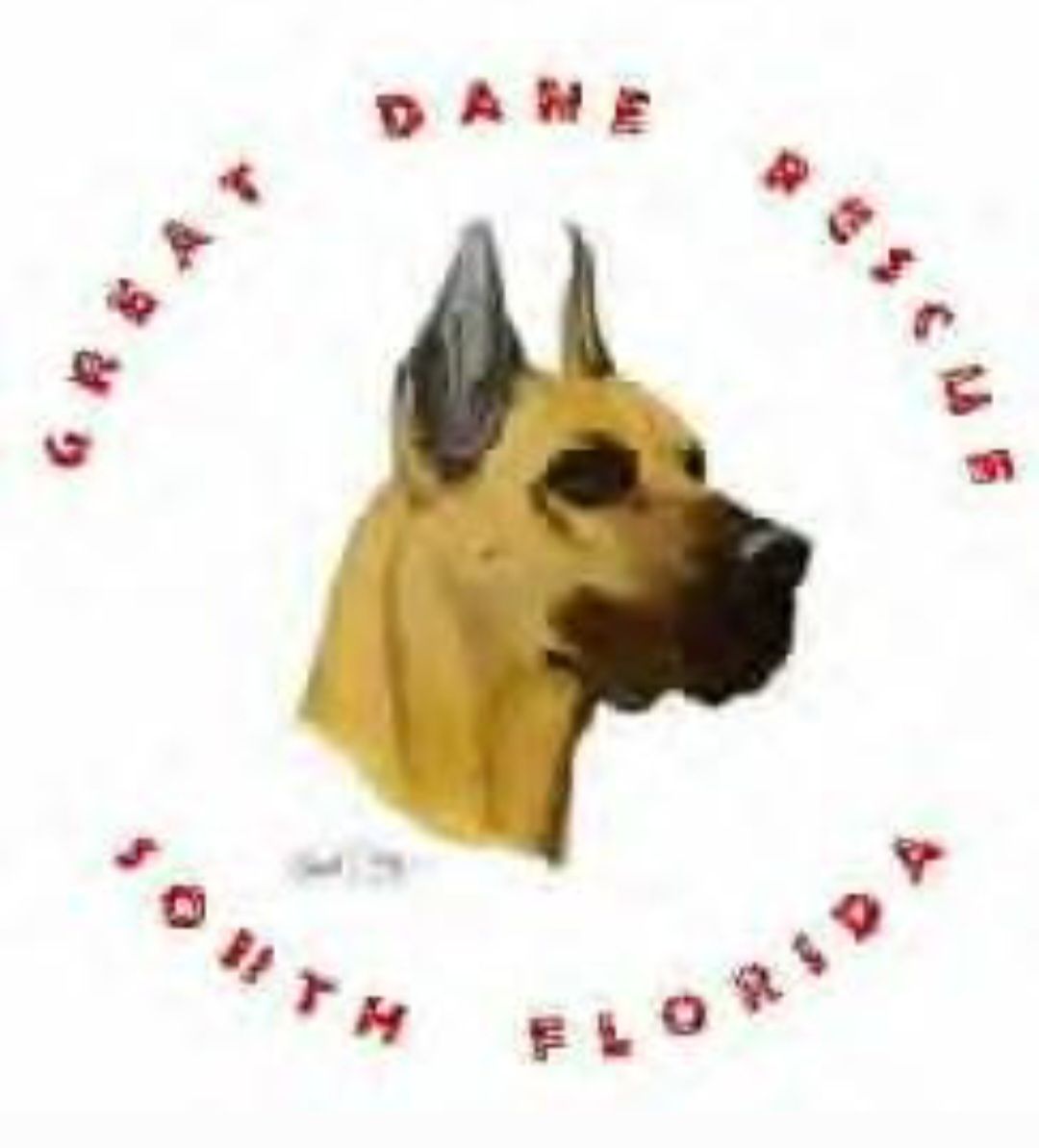 Great Dane Rescue of South Florida