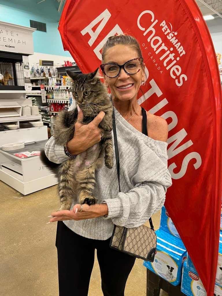 Adopt A Cat Foundation