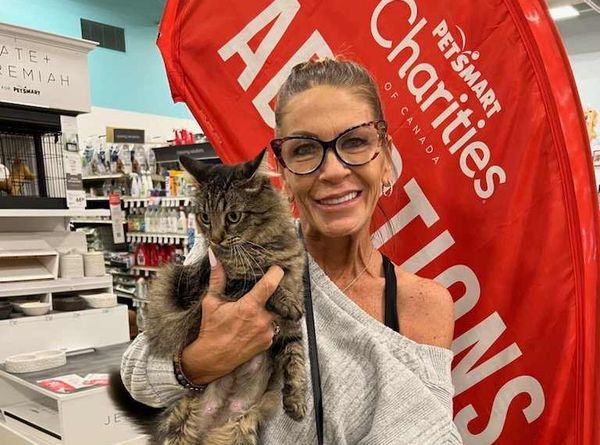 Adopt A Cat Foundation