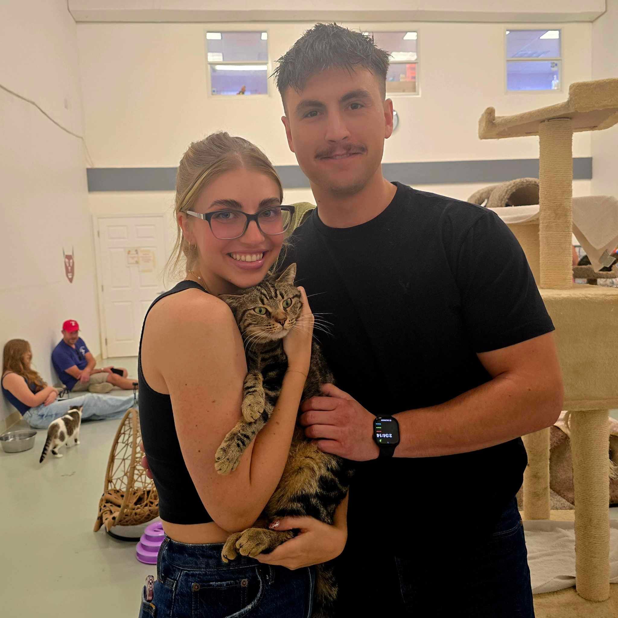 Adopt A Cat Foundation