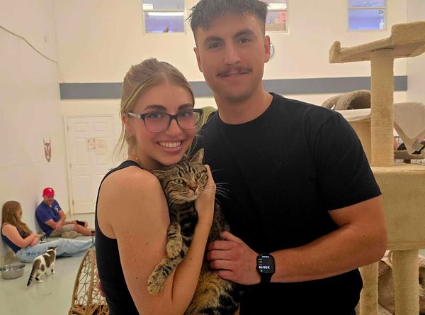 Adopt A Cat Foundation