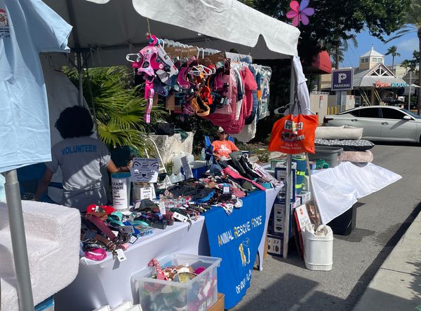 Animal Rescue Force of South Florida Inc