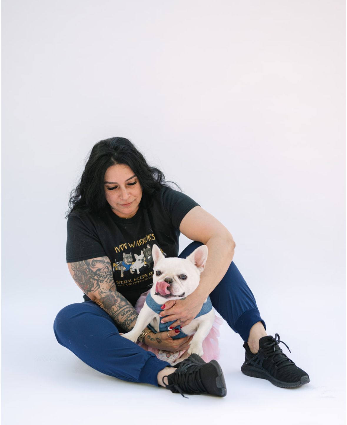 A&E IVDD French Bulldog Rescue