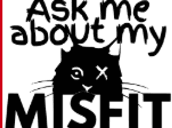 Misfit Felines