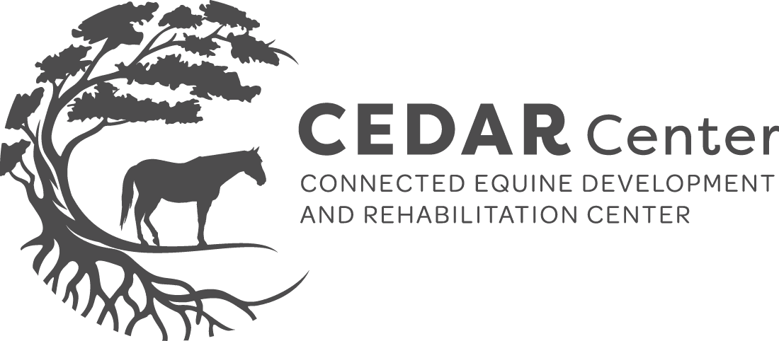 Connected Equine Development and Rehabilitation Center