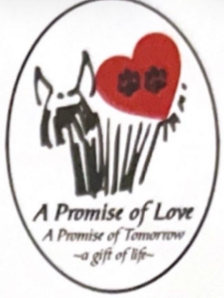 A Promise of Love
