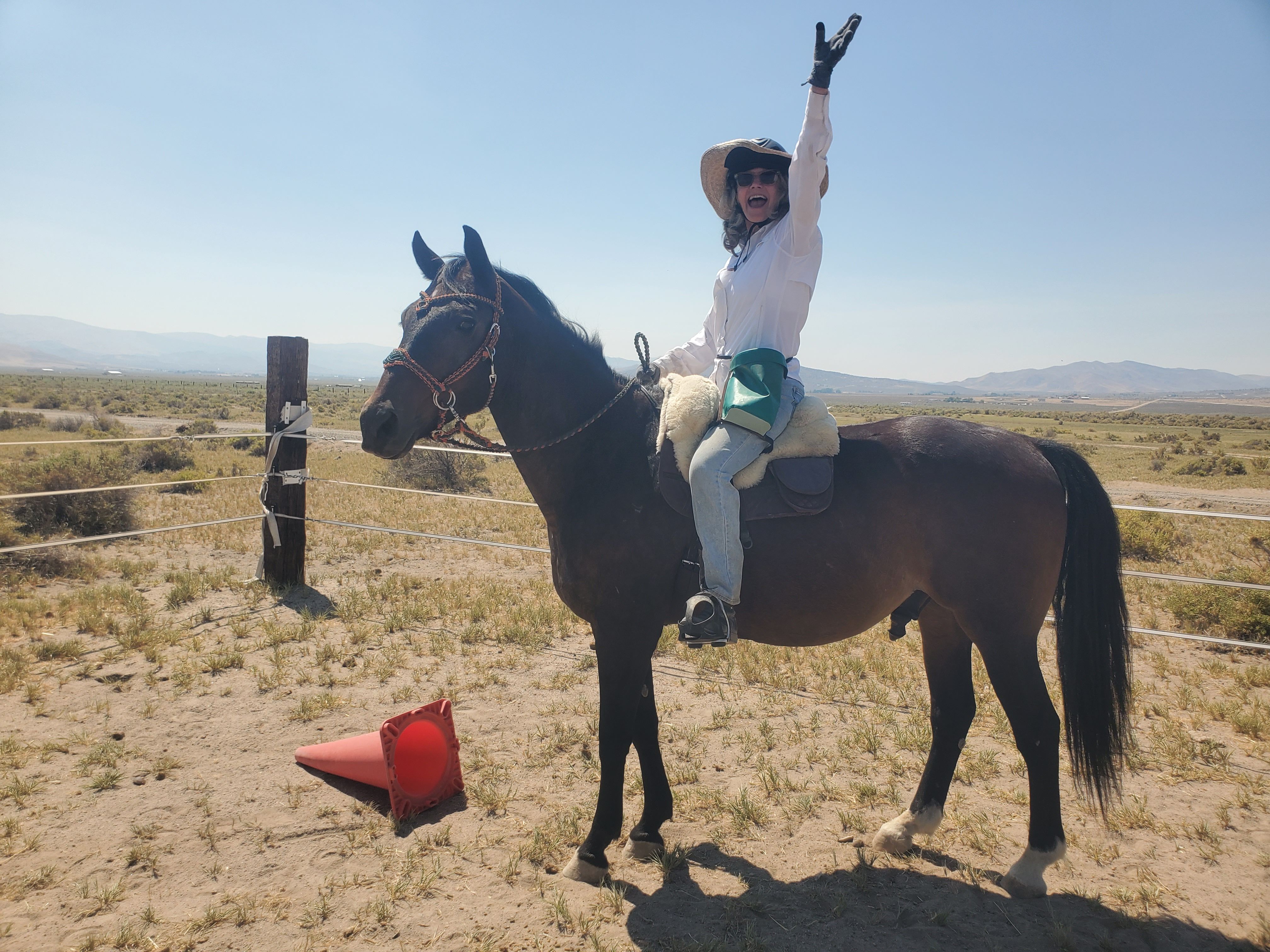 Hoofbeat Heroes Equine Rescue