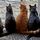 Pumpkin Paws Feline Rescue