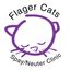 Flagler Cats