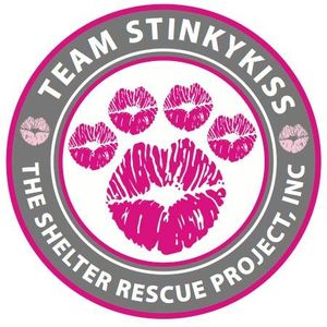 Shelter Rescue Project